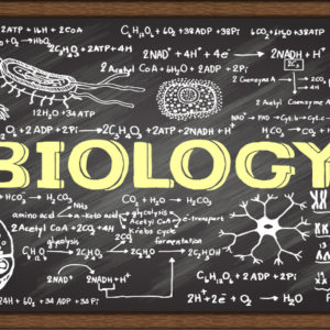 Biology- Private Lessons (7-14)
