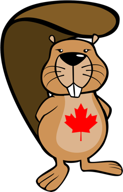 2022 Beaver Computing Challenge